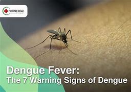 Dengue Fever With Warning Sign Artinya Dalam Bahasa Indonesia